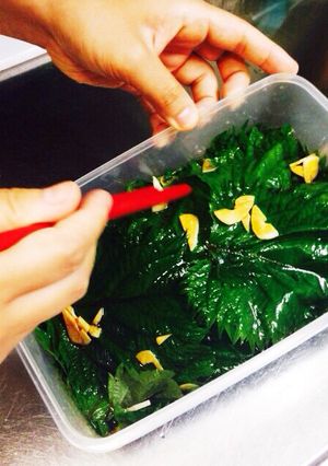 合法ハーブ『SHISO』〜しその醤油漬〜-レシピのメイン写真