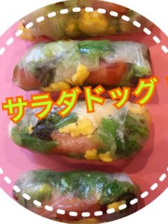 ラッピング サラダドッグ、だいさん生春巻-レシピのメイン写真