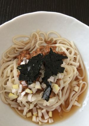 さっぱり納豆うどん-レシピのメイン写真