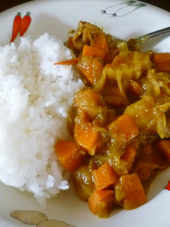 GABANカレー粉で作るコクうまカレー-レシピのメイン写真