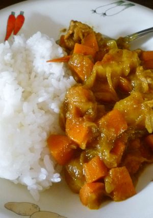 GABANカレー粉で作るコクうまカレー-レシピのメイン写真