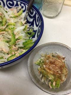 栄養満点ゴーヤサラダ-レシピのメイン写真