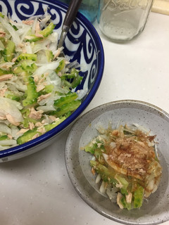 栄養満点ゴーヤサラダ-レシピのメイン写真