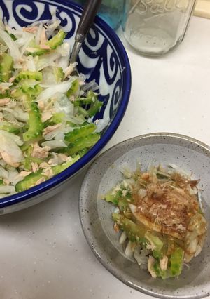 栄養満点ゴーヤサラダ-レシピのメイン写真