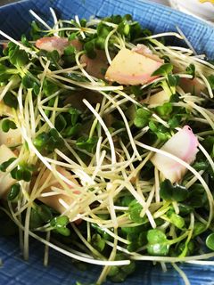 かいわれ大根とかまぼこのわさび醤油サラダ-レシピのメイン写真