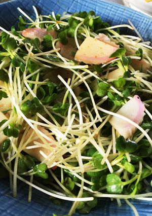 かいわれ大根とかまぼこのわさび醤油サラダ-レシピのメイン写真