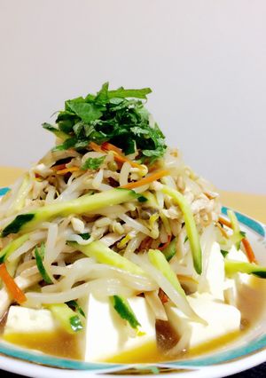 夏!豆腐のどっさりもやし中華風ポン酢かけ-レシピのメイン写真