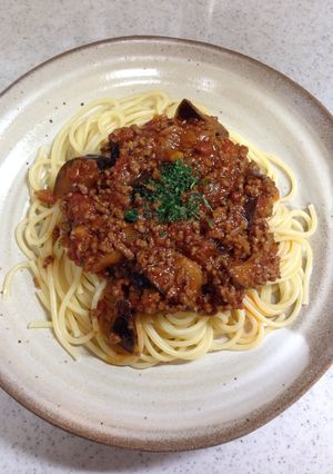 絶品!ナスとひき肉のスパゲティ-レシピのメイン写真
