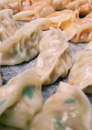 羽根つきジューシー餃子-主夫のレシピ--レシピのメイン写真