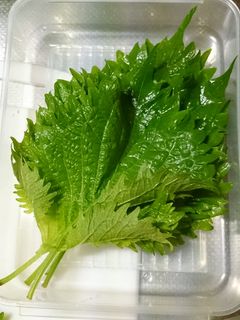 大葉の保存法*あにちゃら流-レシピのメイン写真