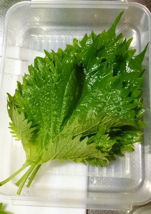 大葉の保存法＊あにちゃら流-レシピのメイン写真