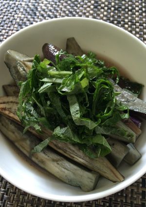 レンジで簡単！なすの煮浸し-レシピのメイン写真