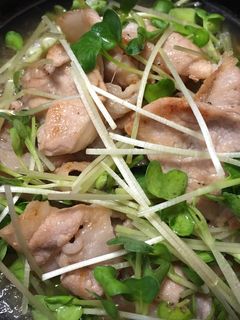 簡単♪さ〜っぱり豚焼きしゃぶ★-レシピのメイン写真
