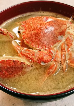 【ヒラツメカニの味噌汁】-レシピのメイン写真