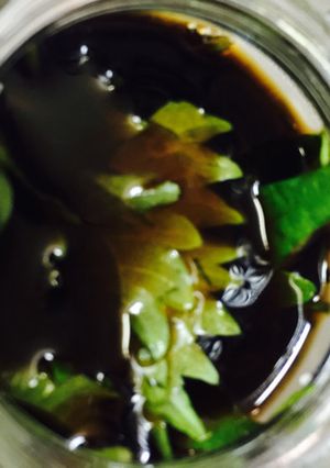 大葉《しそ》にんにく。保存-レシピのメイン写真