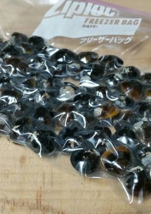 貝の冷凍保存♪-レシピのメイン写真