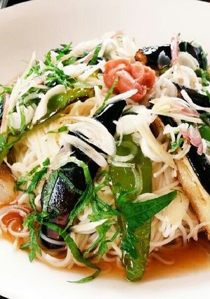 薬味たっぷり！夏野菜そうめん-レシピのメイン写真