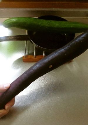 最速の伝説の剣（焼き野菜ソード）-レシピのメイン写真