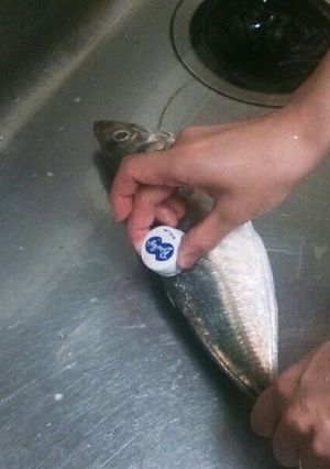 爽快！！アレで魚の鱗をゴッソリ取る！-レシピのメイン写真