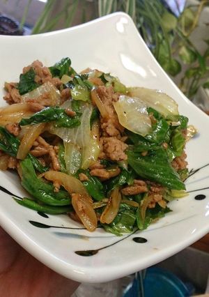 節約でも美味☆レタスの外葉とひき肉炒め-レシピのメイン写真