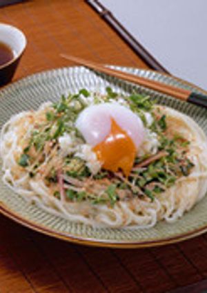 薬味たっぷりのせうどん-レシピのメイン写真