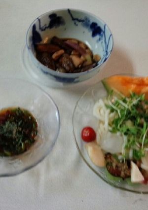 血管ダイエット食399（冷やしうどん）-レシピのメイン写真
