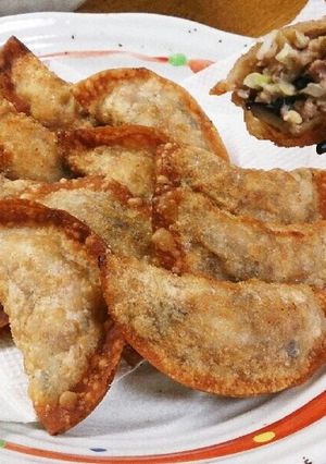ナスとキャベツの揚げ餃子-レシピのメイン写真