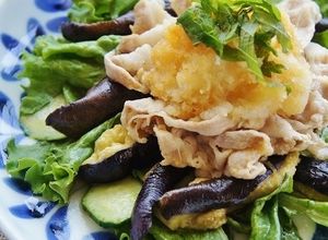 豚肉とナス冷しゃぶ♫にんにくおろしポン酢-レシピのメイン写真