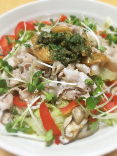 温野菜*豚しゃぶサラダ-レシピのメイン写真