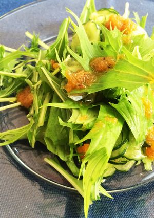 ☆手作り野菜ドレッシング☆-レシピのメイン写真