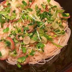 素麺や蕎麦の薬味-レシピのメイン写真