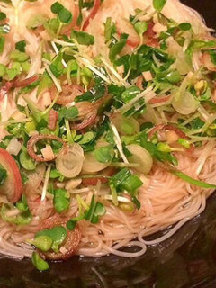 素麺や蕎麦の薬味-レシピのメイン写真