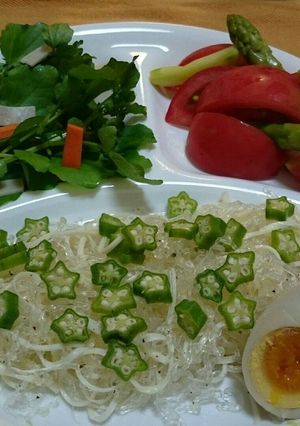 海藻麺と裂けるチーズの冷製麺-レシピのメイン写真