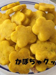人も食べられる☆犬用かぼちゃクッキー-レシピのメイン写真