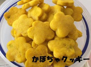 人も食べられる☆犬用かぼちゃクッキー-レシピのメイン写真