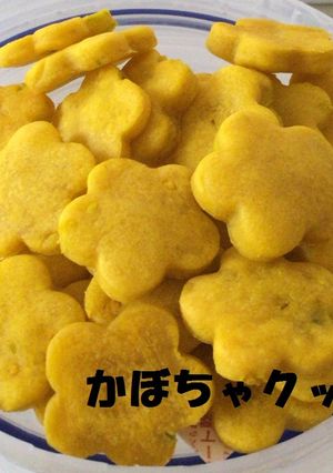 人も食べられる☆犬用かぼちゃクッキー-レシピのメイン写真