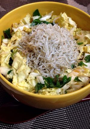 白菜でシャキッとさっぱり！しらす丼-レシピのメイン写真