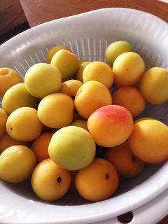 ☆覚書☆南高梅の梅ジュース-レシピのメイン写真