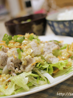 レモン&ごま油☆簡単冷しゃぶサラダ-レシピのメイン写真