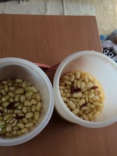 らっきょう漬け-レシピのメイン写真