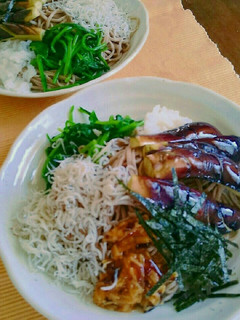 冷やし蕎麦-レシピのメイン写真