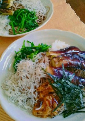 冷やし蕎麦-レシピのメイン写真