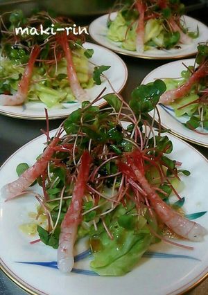 甘エビと温キャベツのサラダ-レシピのメイン写真