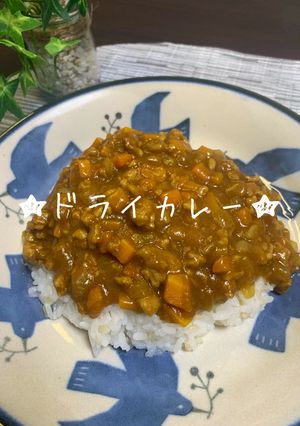 お店のドライカレー-レシピのメイン写真