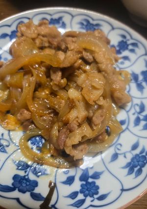豚肉と玉ねぎの炒め物-レシピのメイン写真