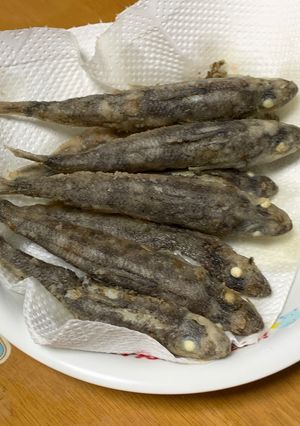 メヒカリのから揚げ-レシピのメイン写真