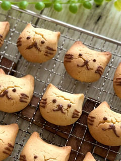 米粉と卵のねこクッキー-レシピのメイン写真