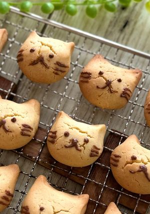 米粉と卵のねこクッキー-レシピのメイン写真