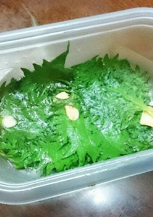 簡単!糖質オフ!合法ハーブSHISO-レシピのメイン写真
