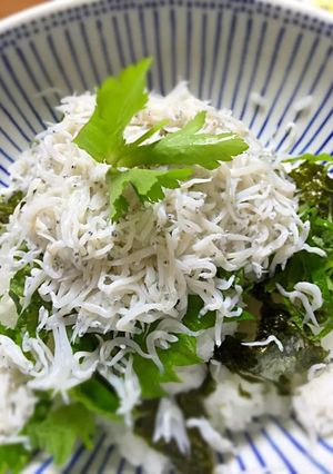 しらすご飯-レシピのメイン写真